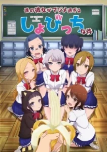 Постер Моя девушка — убеждённая извращенка-девственница (Boku no Kanojo ga Majimesugiru Sho-bitch na Ken)