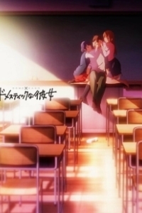 Постер Домекано (Domestic na Kanojo)