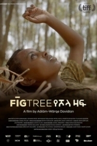 Постер Инжир (Fig Tree)