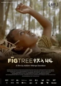 Постер Инжир (Fig Tree)