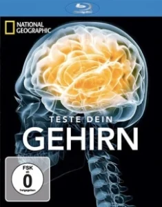 Постер Испытайте свой мозг (Test Your Brain)