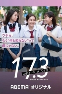 Постер 17.3 о сексе (17.3 about a sex)