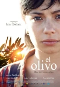 Постер Олива (The olive tree)