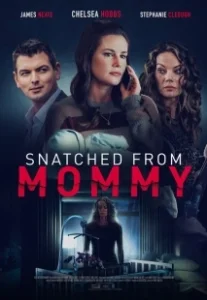 Постер Ярость матери (Snatched from Mommy)