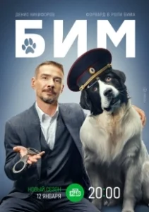 Постер БИМ 