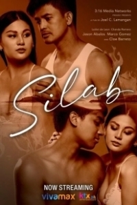 Постер Лунная бабочка (Silab)