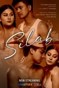 Постер Лунная бабочка (Silab)