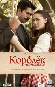 Постер Королёк – птичка певчая (Çalikusu)