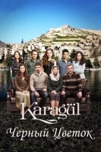 Постер Черный цветок (Karagül)