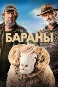 Постер Бараны (Rams)