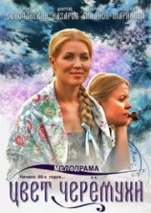 Постер Цвет черемухи