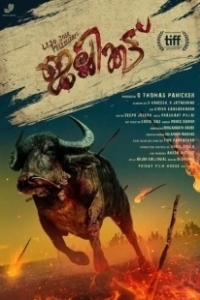 Постер Джалликатту (Jallikattu)