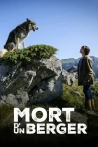 Постер Смерть пастуха (Mort d'un berge)