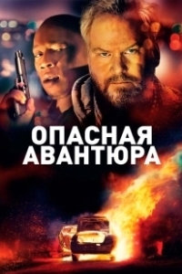 Постер Опасная авантюра (American Dreamer)