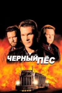 Постер Чёрный пёс 