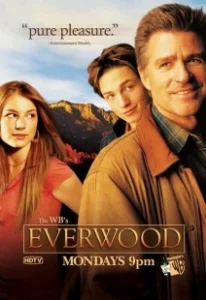 Постер Любовь вдовца (Everwood)