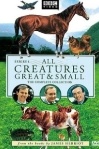 Постер О всех созданиях - больших и малых (All Creatures Great and Small)