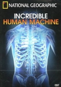 Постер Невероятное тело человека (Incredible Human Machine)