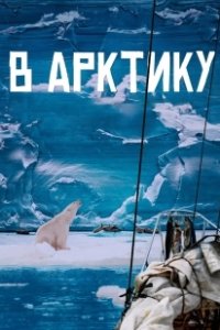 Постер В Арктику (Arctic Justice: Thunder Squad)