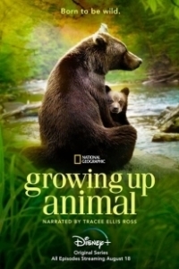 Постер Взрослеющее животное (Growing Up Animal)