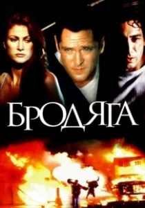 Постер Бродяга (The Stray)