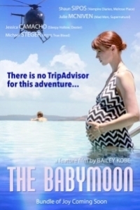 Постер Медовый месяц перед родами (The Babymoon)