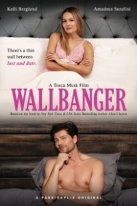 Постер Разрушитель стен (Wallbanger)