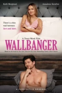 Постер Разрушитель стен (Wallbanger)