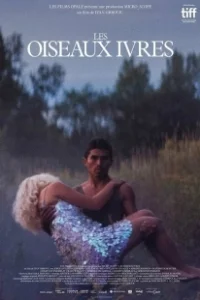 Постер Пьяные пташки (Les oiseaux ivres)