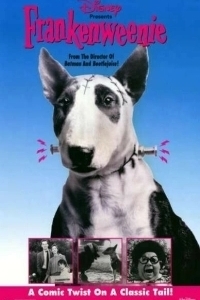 Постер Франкенвини (Frankenweenie)