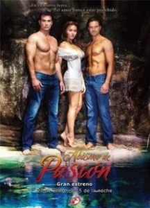 Постер Бездна страсти (Abyss of Passion)