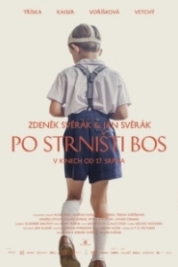 Постер Босиком по стерне (Po strnisti bos)