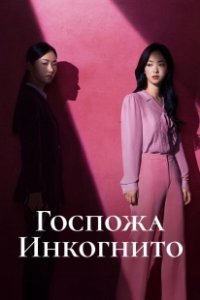Постер Госпожа Инкогнито (Jakhan yeoja Bu Semi)