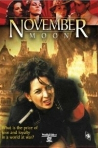 Постер Ноябрьская луна (Novembermond)