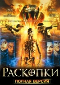Постер Раскопки (Bonekickers)