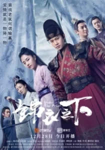 Постер Что скрывают маски (Jin yi zhi xia)