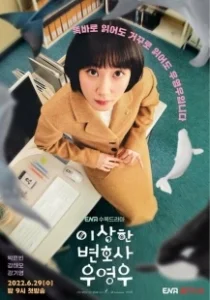 Постер Необычный адвокат (Weird Lawyer, Woo Young Woo)