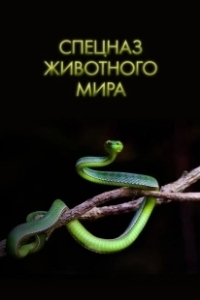 Постер Спецназ животного мира (Animal Special Forces)