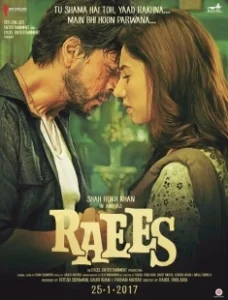 Постер Богатей (Raees)