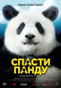 Постер Спасти панду (Miseuteo Ju: sarajin VIP)