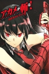 Постер Убийца Акамэ! (Akame ga Kill!)