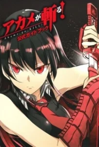 Постер Убийца Акамэ! (Akame ga Kill!)