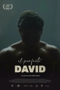 Постер Идеальный Давид (El perfecto David)