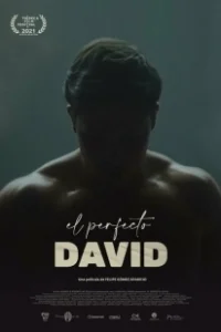 Постер Идеальный Давид (El perfecto David)
