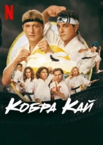 Постер Кобра Кай (Cobra Kai)