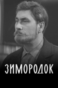 Постер Зимородок 