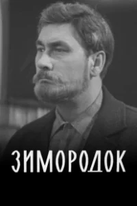 Постер Зимородок (Yalı Çapkını)