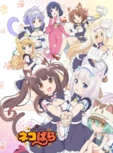 Постер Кошачий рай (Nekopara)