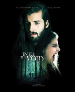 Постер Навстречу пустоте (Into the Void)