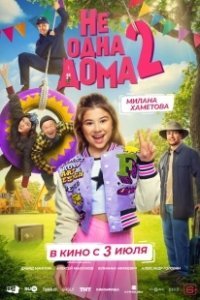 Постер Не одна дома 2 